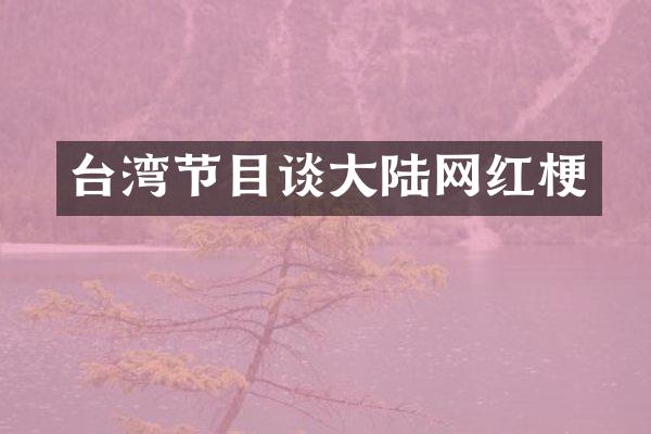 台湾节目谈大陆网红梗