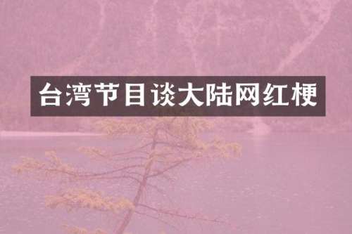 台湾节目谈大陆网红梗
