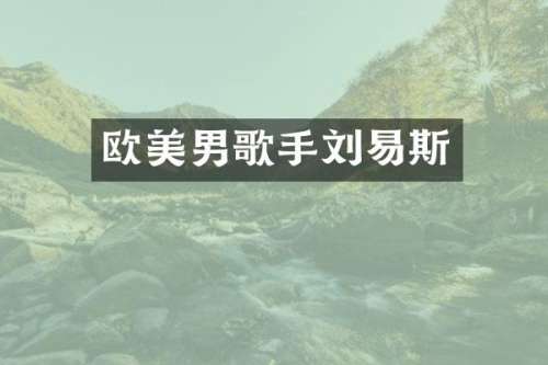 欧美男歌手刘易斯