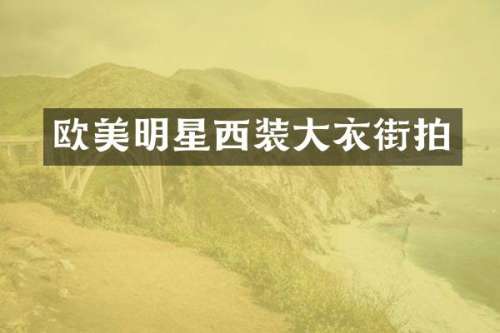 欧美明星西装大衣街拍