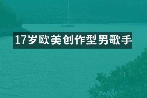 17岁欧美创作型男歌手