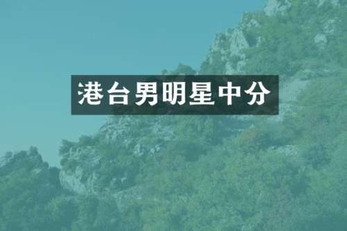 港台男明星中分