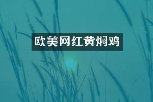 欧美网红黄焖鸡