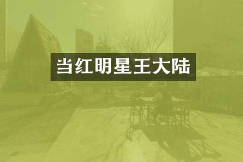 当红明星王大陆