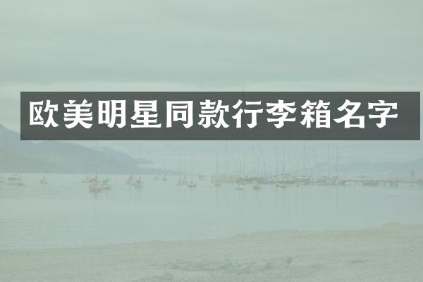欧美明星同款行李箱名字