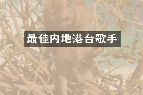 最佳内地港台歌手