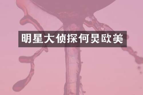 明星大侦探何炅欧美