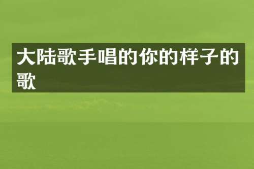 大陆歌手唱的你的样子的歌