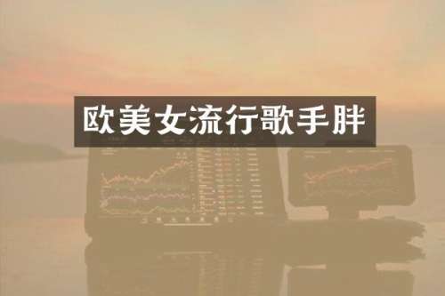 欧流行歌手胖