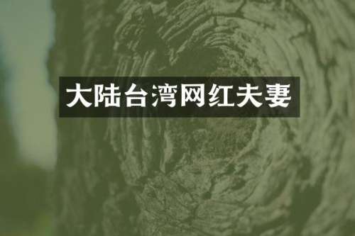 大陆台湾网红夫妻