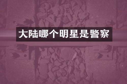 大陆哪个明星是警察