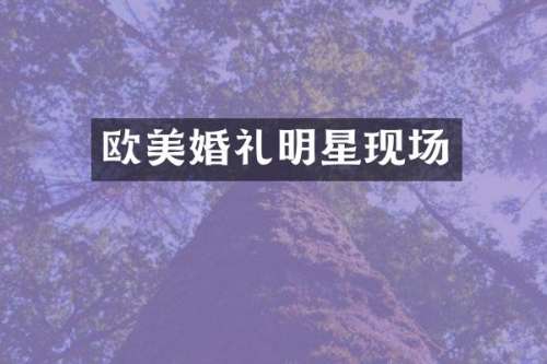 欧美婚礼明星现场