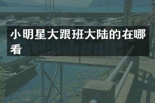 小明星大跟班大陆的在哪看