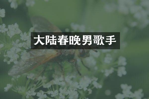 大陆男歌手