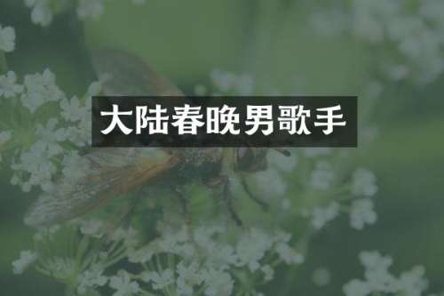 大陆男歌手