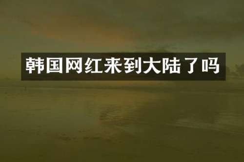 韩国网红来到大陆了吗
