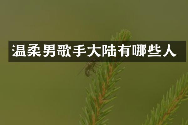 温柔男歌手大陆有哪些人