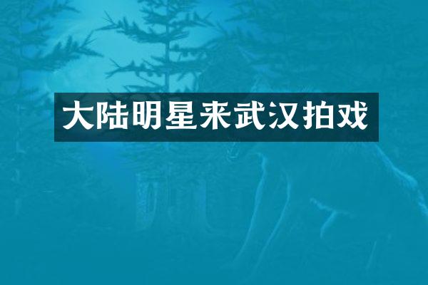 大陆明星来武汉拍戏