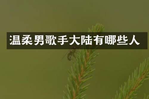 温柔男歌手大陆有哪些人