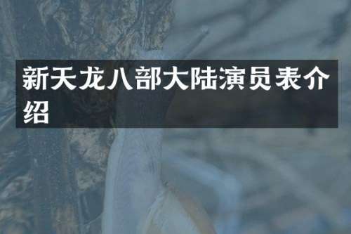 新天龙八部大陆演员表介绍