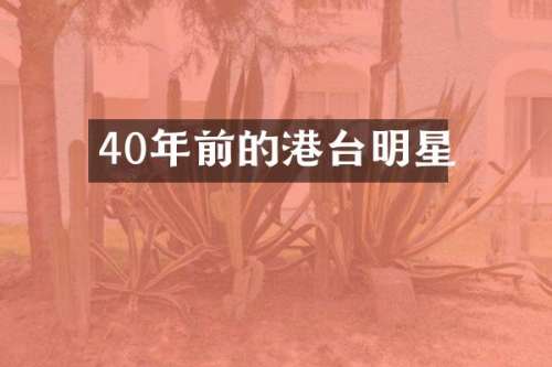 40年前的港台明星