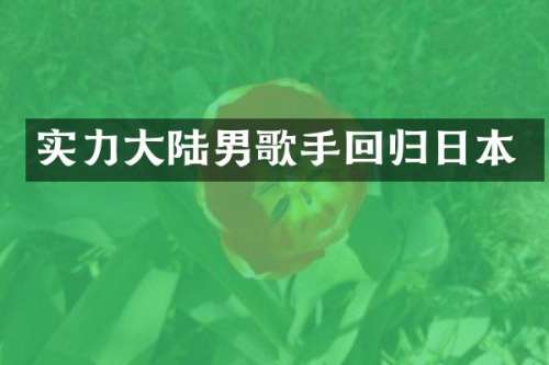 实力大陆男歌手回归日本
