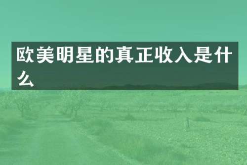 欧美明星的真正收入是什么