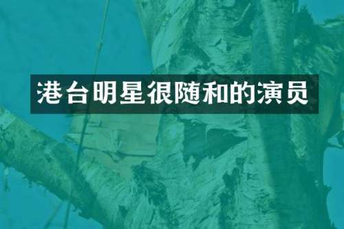 港台明星很随和的演员