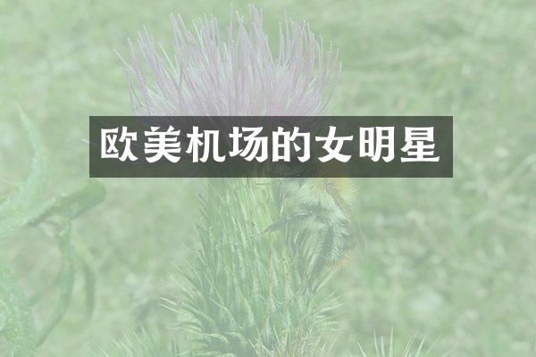 欧美机场的女明星