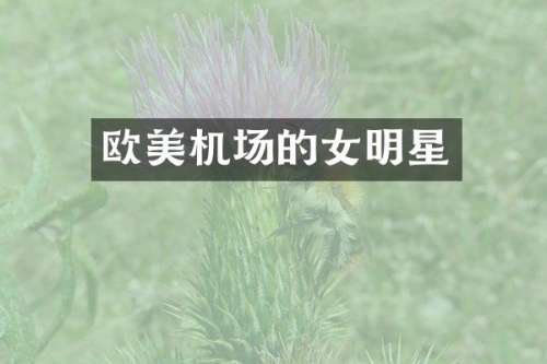 欧美机场的女明星