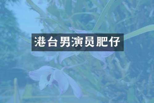 港台男演员肥仔