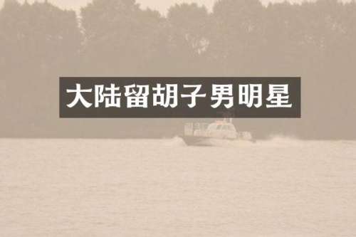 大陆留胡子男明星