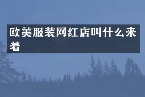 欧美服装网红店叫什么来着