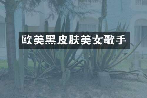 欧美黑皮肤歌手