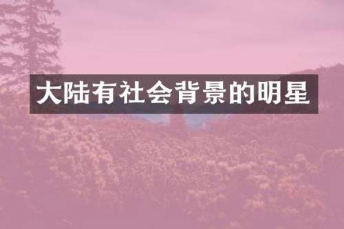 大陆有社会背景的明星