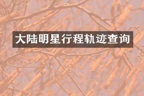 大陆明星行程轨迹查询