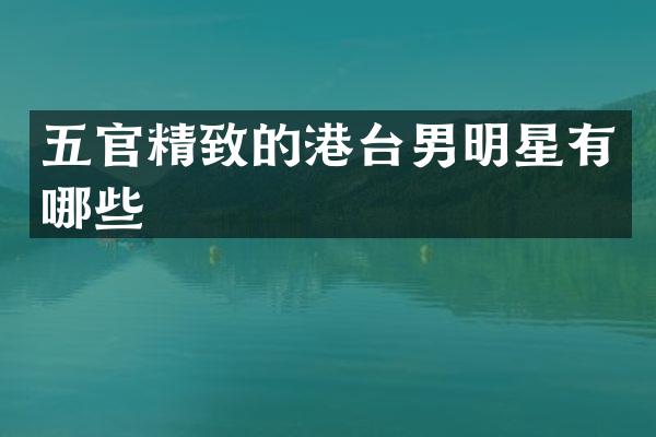 五官精致的港台男明星有哪些