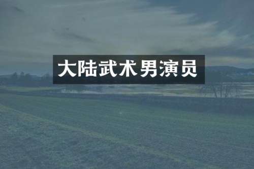 大陆武术男演员