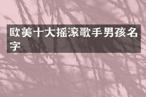 欧美十大摇滚歌手男孩名字