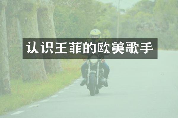 认识王菲的欧美歌手