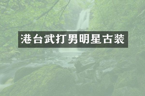 港台武打男明星古装