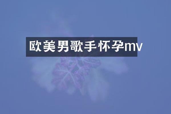 欧美男歌手怀孕mv