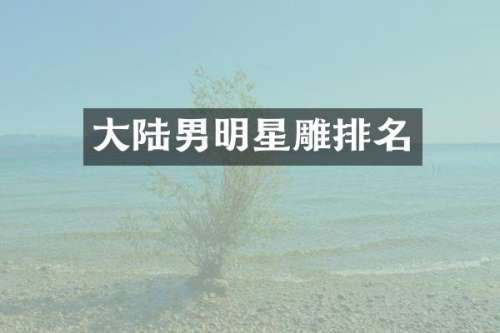 大陆男明星雕排名
