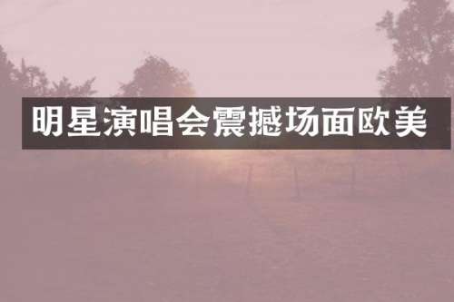 明星演唱会震撼场面欧美