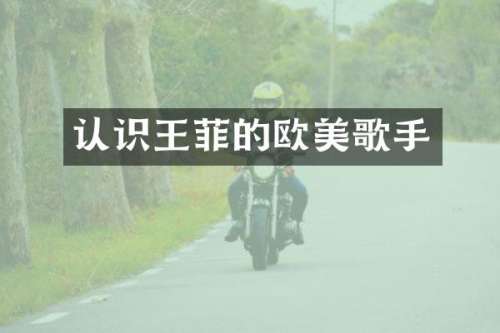 认识王菲的欧美歌手