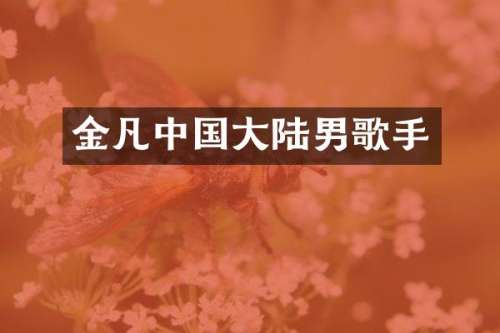 金凡中国大陆男歌手