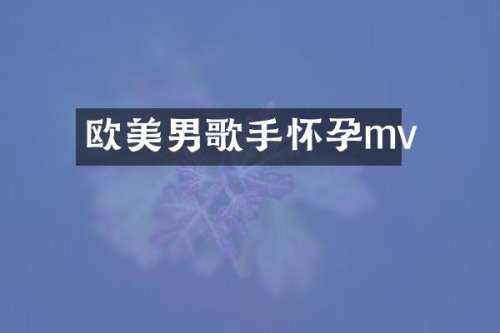欧美男歌手怀孕mv
