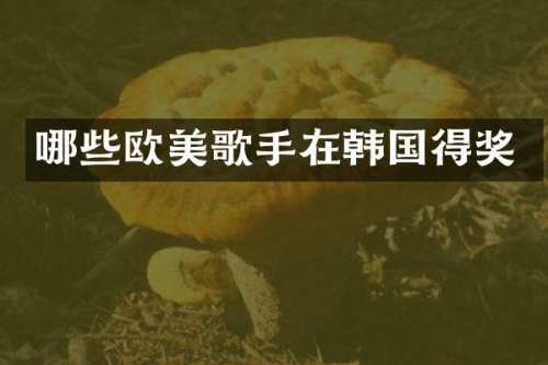 哪些欧美歌手在韩国得奖