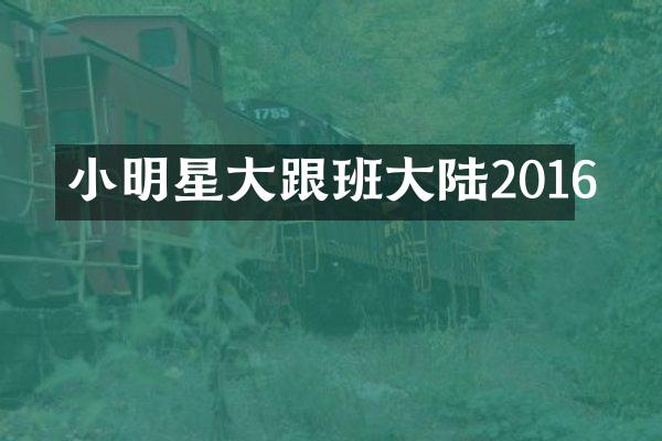 小明星大跟班大陆2016