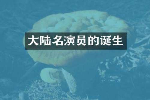 大陆名演员的诞生